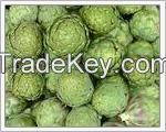 Artichoke Extract