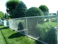 Sell Rhombus Wire Mesh