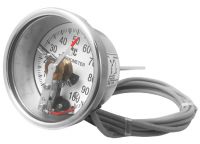 Bimetal Thermometer with Electrical Contact (Back Mount Type)