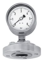 Flanged Process Connection Diaphragm Pressure Gauge (Flush Connection Type)