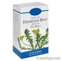 Dandelion tea a prime medical ingredient (weight loss, rejuvenation, d