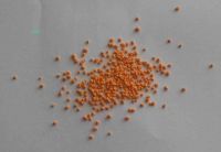 Orange Speckles for detegent powder making