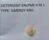DETERGENT ENZYME GMCBE FOR COLD WASH