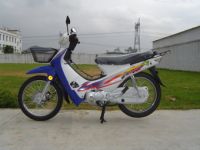 Sell 110cc moped and cub motorcycles