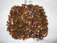 Light Brown Raisins