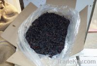 Black Raisins