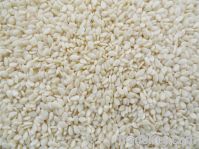 Hulled White Sesame Seeds