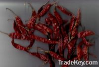 Dried Red Chilli