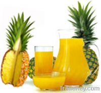 Sell Pineapple Juice