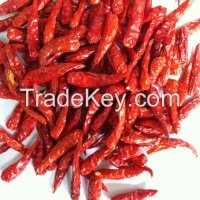 Supply red chilli ( hot chilli )