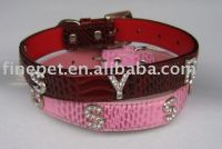 dog  collar