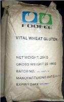 Sell Vital wheat gluten
