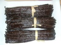 Sell vanilla pods from Madagascar