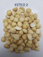 Best Selling Macadamia Nut Kernel