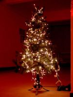 Sell Christmas tree, christmas decorative light, rope light, outdoor