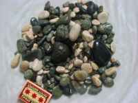 Sell natural River Pebbles and Stones