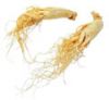 Sell Ginseng Root Extract