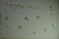 ROUGH DIAMONDS NYC NEXT WEEK 318CTS  GEM QUALITY  write  FOR VIEWING