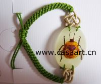 bangle  insect amber bracelet  BA-F001