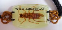 bangles insect amber bracelet BA-F002