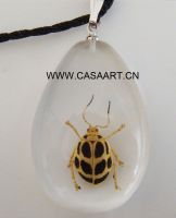 insect amber pendant NA010