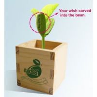Sell Magic bean with package of wooden,can magic bean