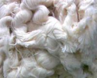 Unbleached Cotton THread Waste