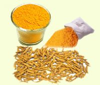 Offering a good quality Turmeric from India