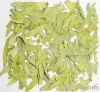 Sell senna leaves, passiflora herb, lobelia leaves