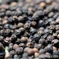 Sell Black Peppers