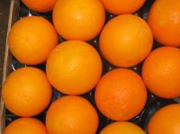 Orange Balade