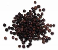 Sell Black Pepper