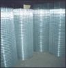 Sell Welded Wire Mesh