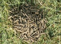 Selling alfalfa pellets