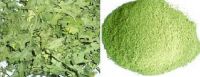 Sell celery extract (powder)