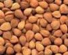 apricot kernel offer (sell)