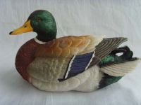 Sell Duck Pool Floater