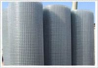 Sell Welded Wire Mesh Panels