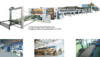 Sell carton packing line