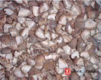 Sell frozen shiitake