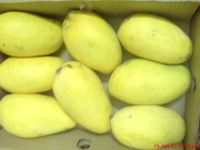 Fresh Pakistani Mangoes