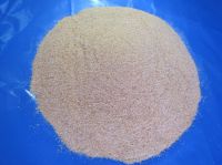 Dehydrated Garlic Granules