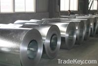 Sell full hard galvanized steel coil