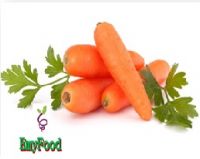 Carrot