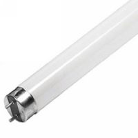 Sell T8 Fluorescent lamp