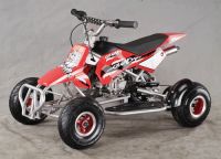 Sell mini quad with very competitive price