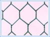 Sell PVC coated hexagonal wire mesh