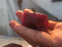 Sell Rough Ruby 100 % Natural of Tajikistan