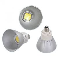 Sell 10W LED Lamp with E27 Cap
