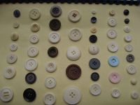 sell corozo buttons 2